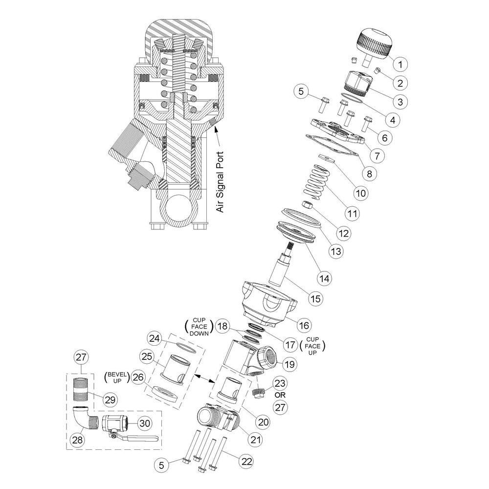 Thompson II Valve Diagram